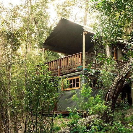Fernhill Tented Treehouses Rheenendal Dış mekan fotoğraf