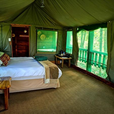 Fernhill Tented Treehouses Rheenendal Dış mekan fotoğraf
