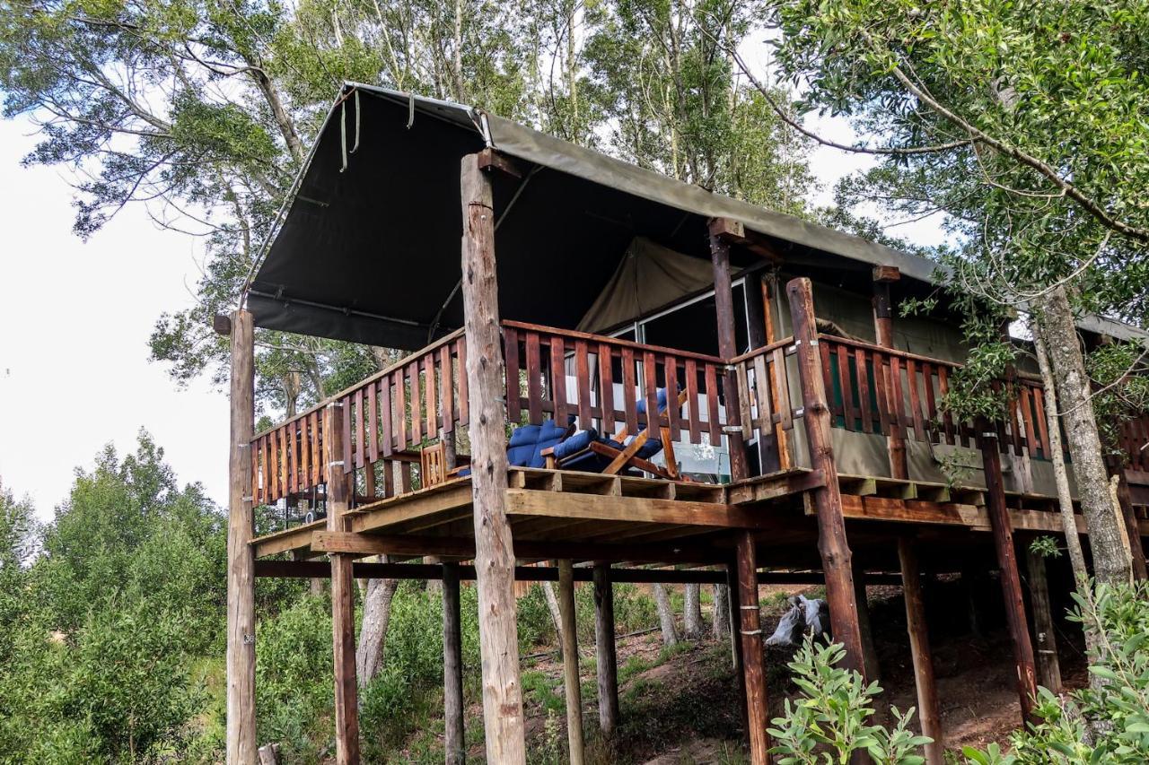 Fernhill Tented Treehouses Rheenendal Dış mekan fotoğraf