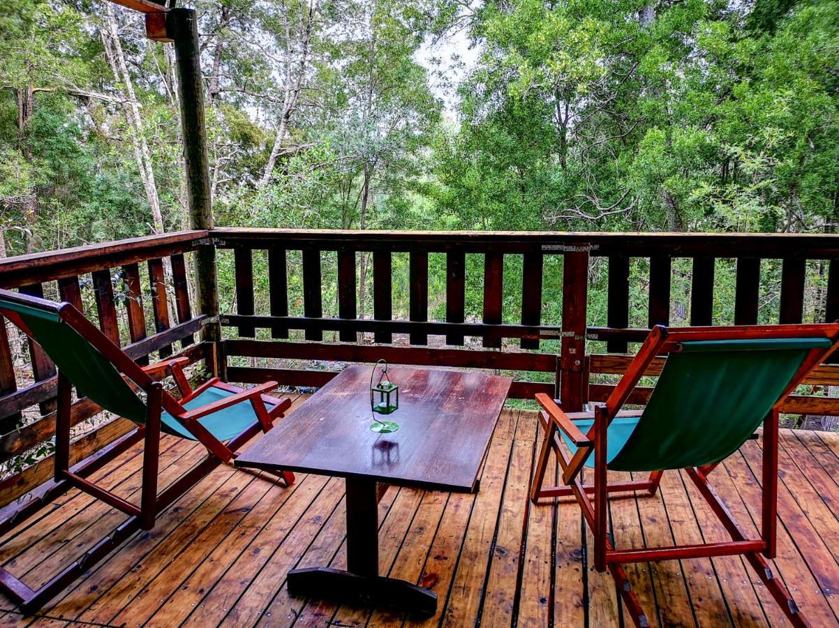 Fernhill Tented Treehouses Rheenendal Dış mekan fotoğraf
