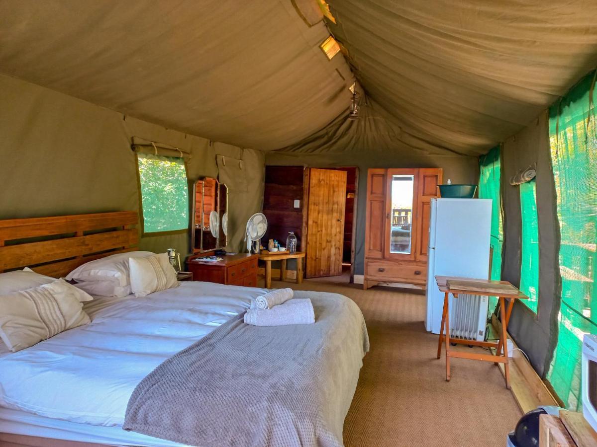 Fernhill Tented Treehouses Rheenendal Dış mekan fotoğraf