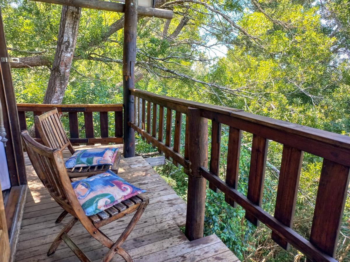 Fernhill Tented Treehouses Rheenendal Dış mekan fotoğraf