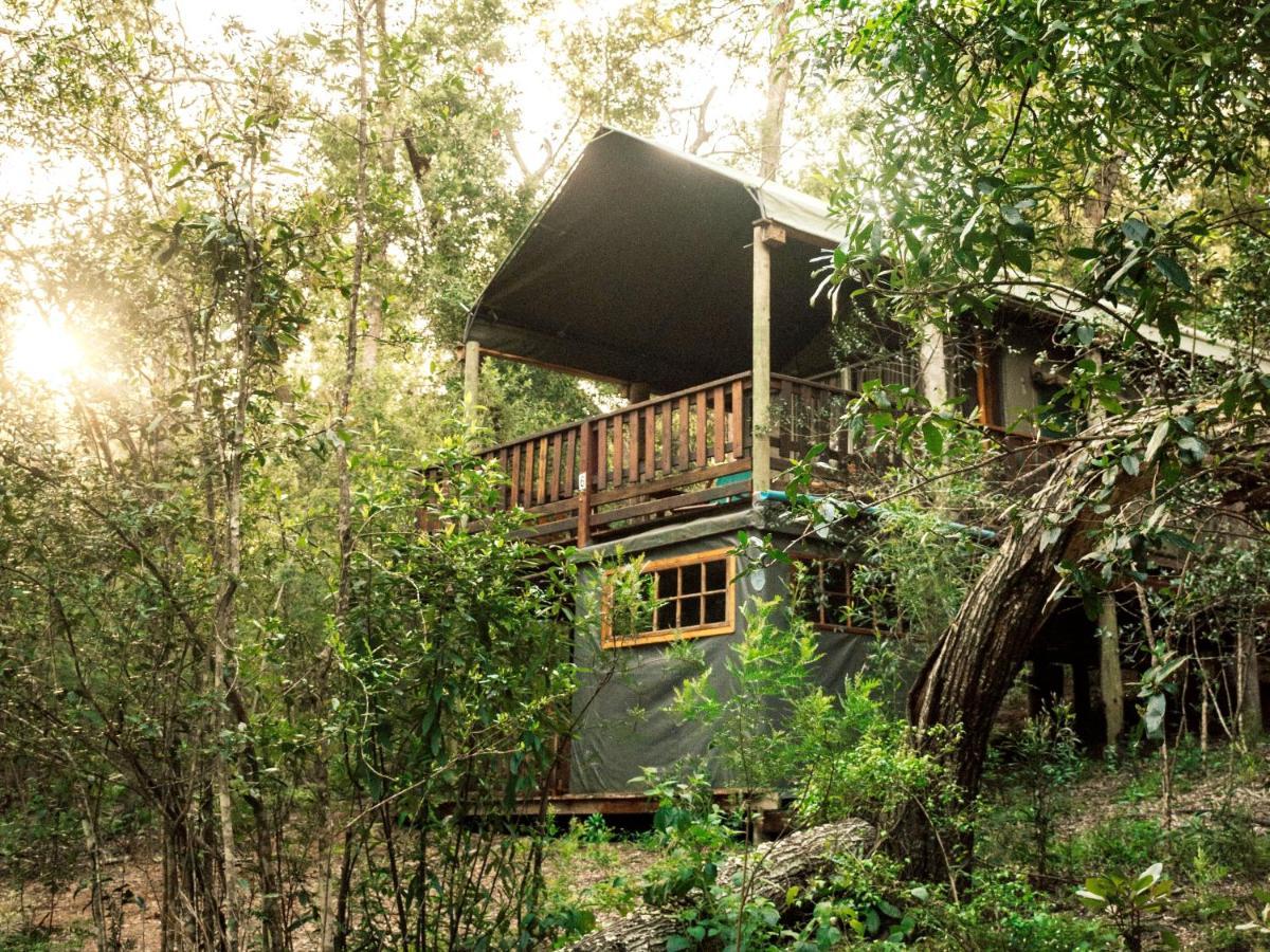 Fernhill Tented Treehouses Rheenendal Dış mekan fotoğraf