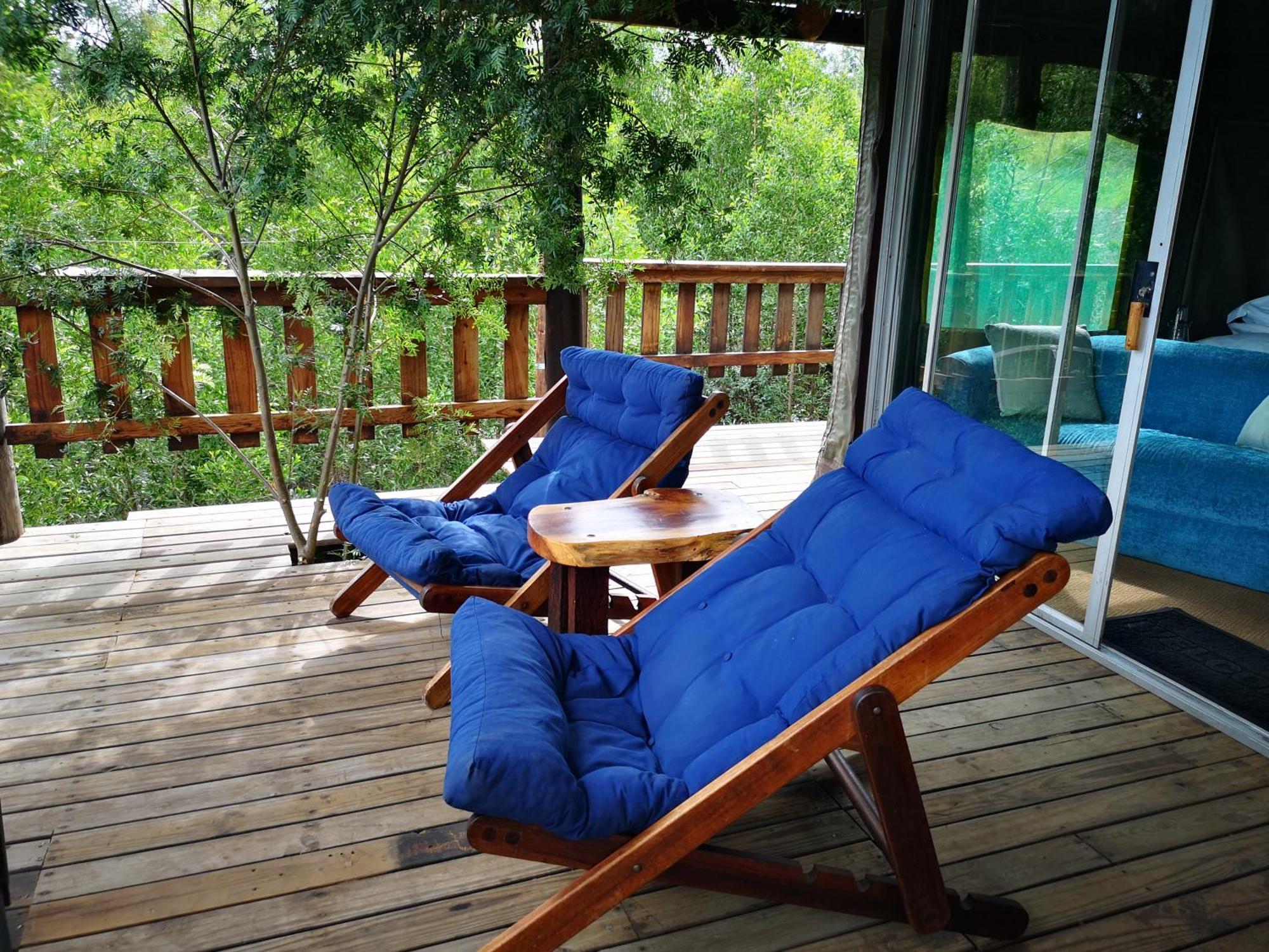 Fernhill Tented Treehouses Rheenendal Oda fotoğraf