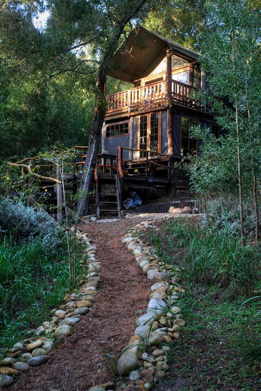 Fernhill Tented Treehouses Rheenendal Oda fotoğraf